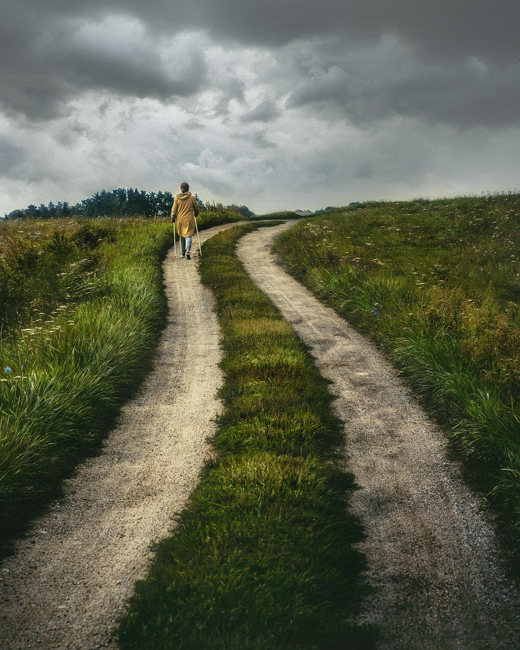 path, rural, nature, road, countryside, outdoors, walking, trail, travel, adventure, journey, path, road